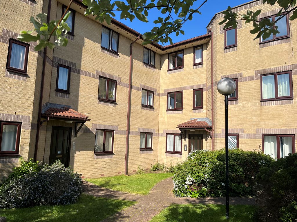 Main Image
